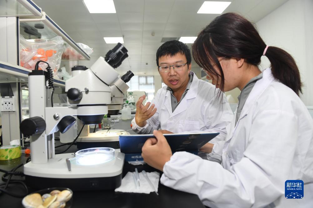 足球导航下载